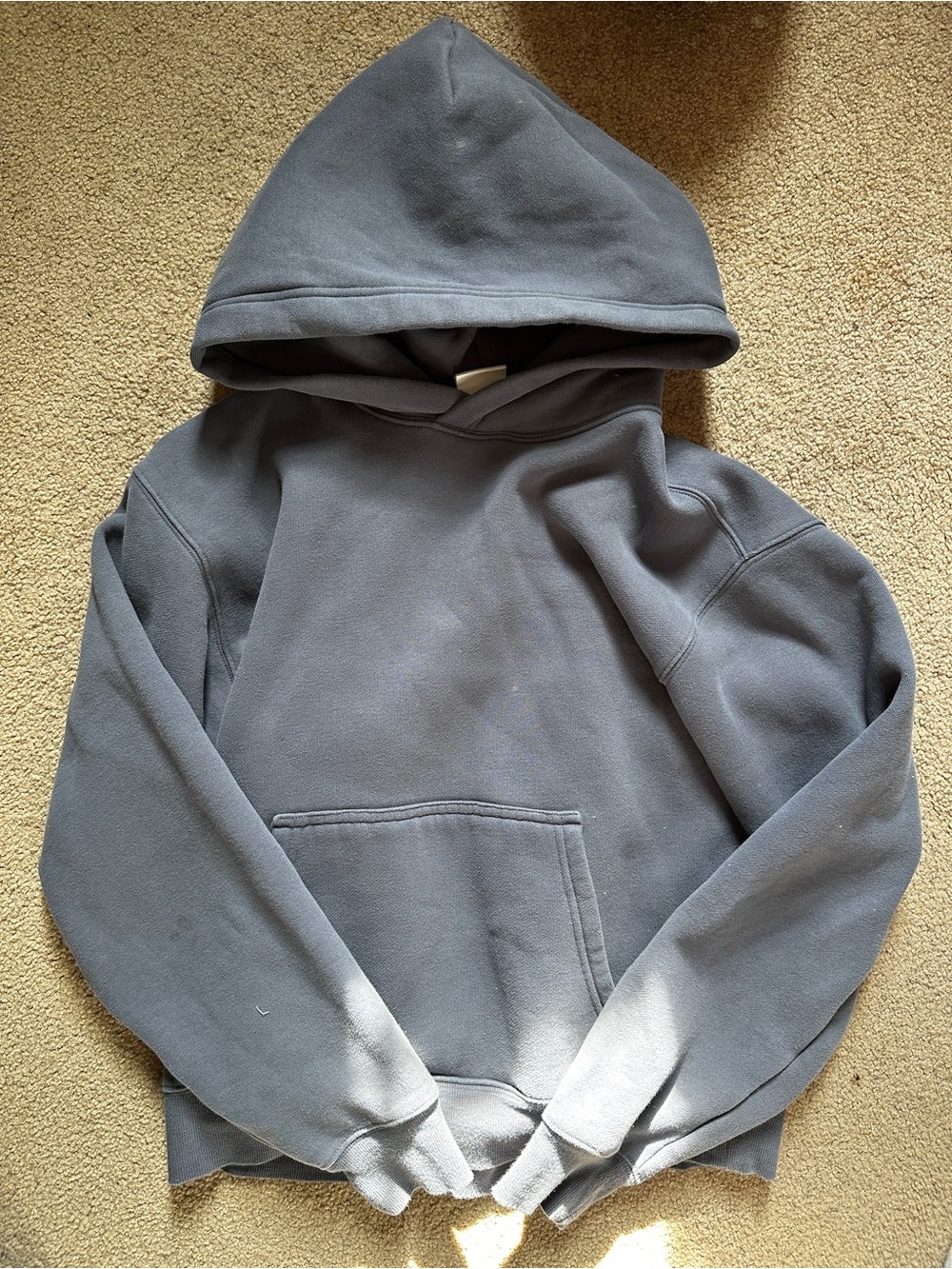 Aritzia Vintage Navy Perfect Hoodie